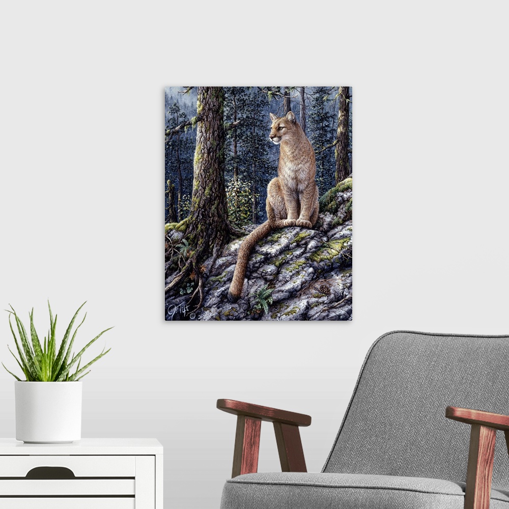 A modern room featuring mountain lion sitting on snow-dusted ground in forest
