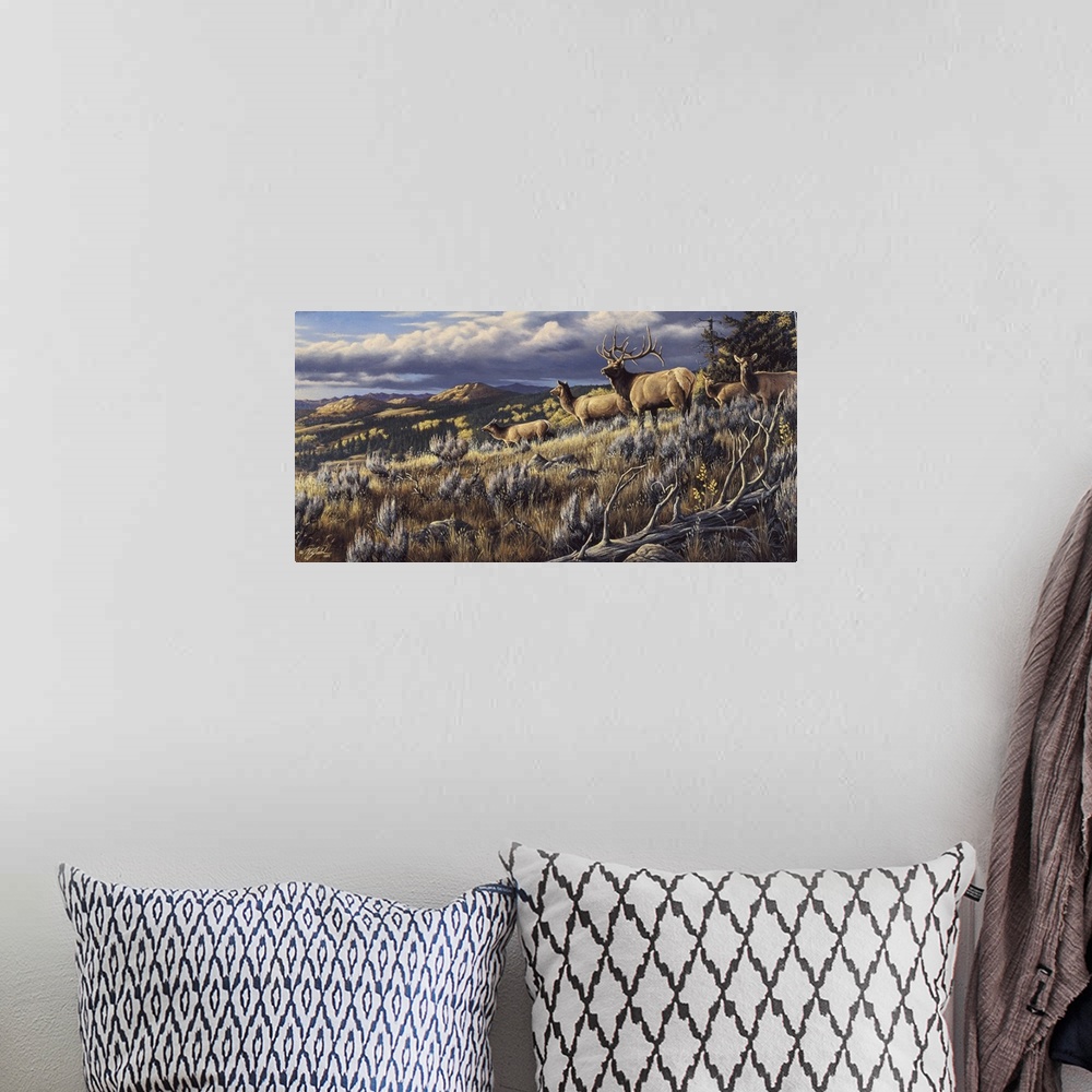 A bohemian room featuring Elk on mountain top.