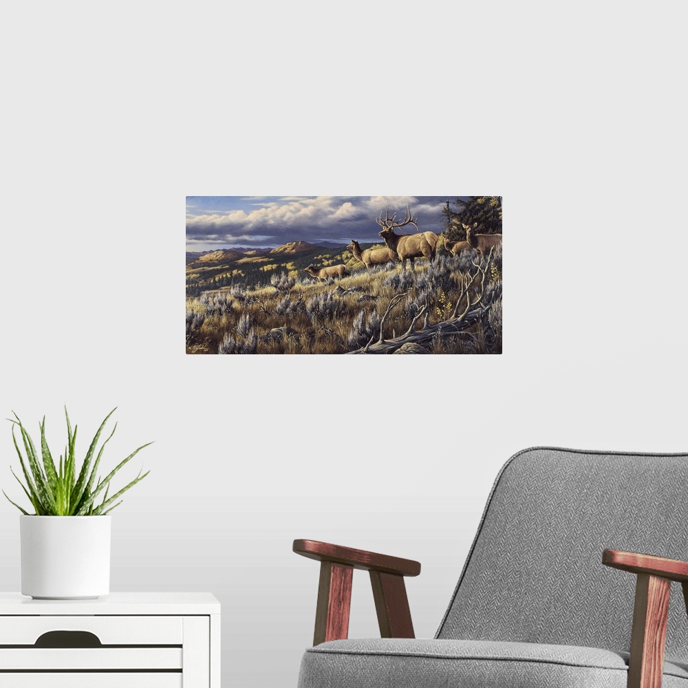 A modern room featuring Elk on mountain top.