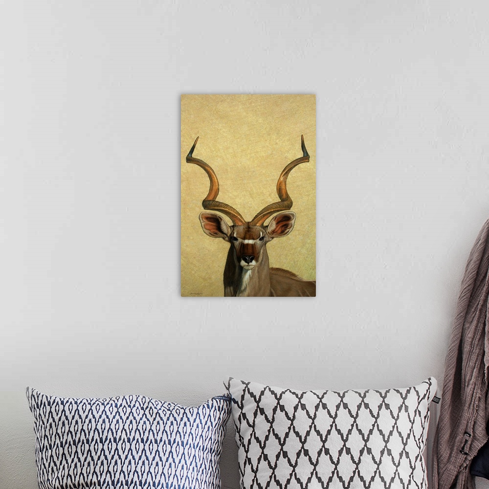 A bohemian room featuring Kudu