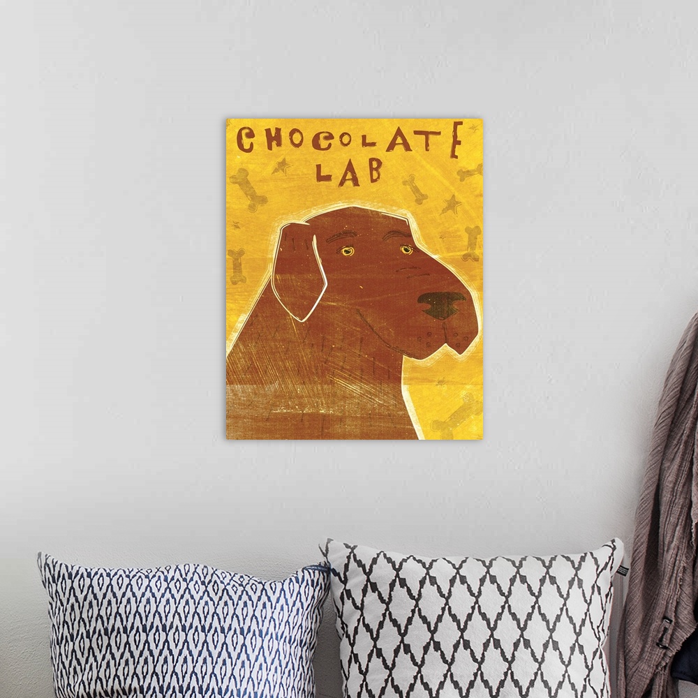 A bohemian room featuring Lab (chocolate)