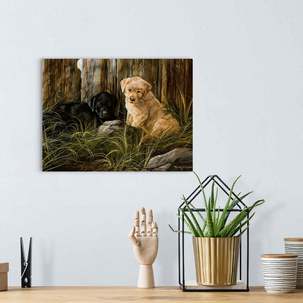 A bohemian room featuring Lab Pup Pair