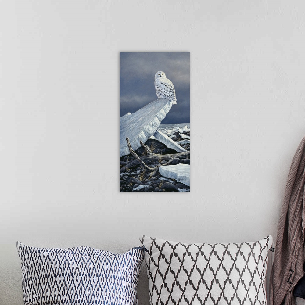 A bohemian room featuring Snowy owl perched on a chunk of ice.