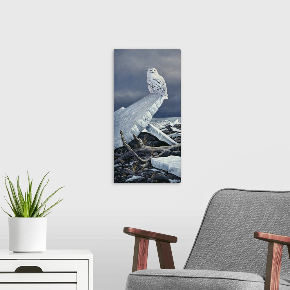 A modern room featuring Snowy owl perched on a chunk of ice.