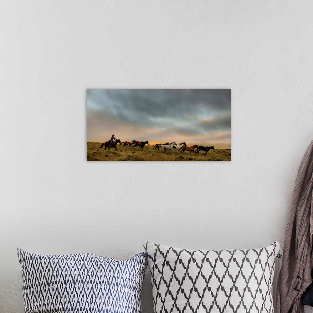 A bohemian room featuring Photograph of a cowgirl with a lasso in hand herding horses through a field.