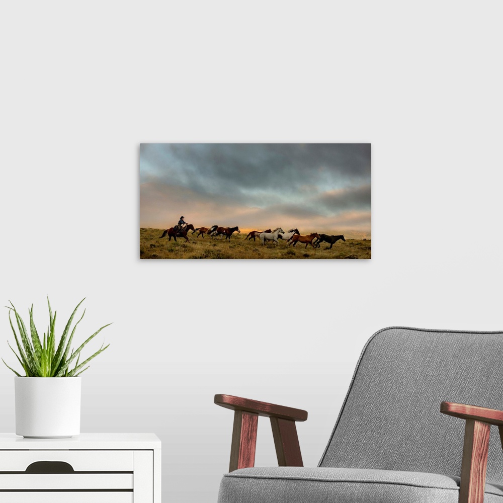 A modern room featuring Photograph of a cowgirl with a lasso in hand herding horses through a field.