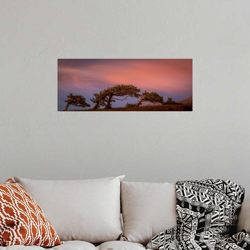 A bohemian room featuring Landscape photograph of leaning trees under a pink and blue sky.