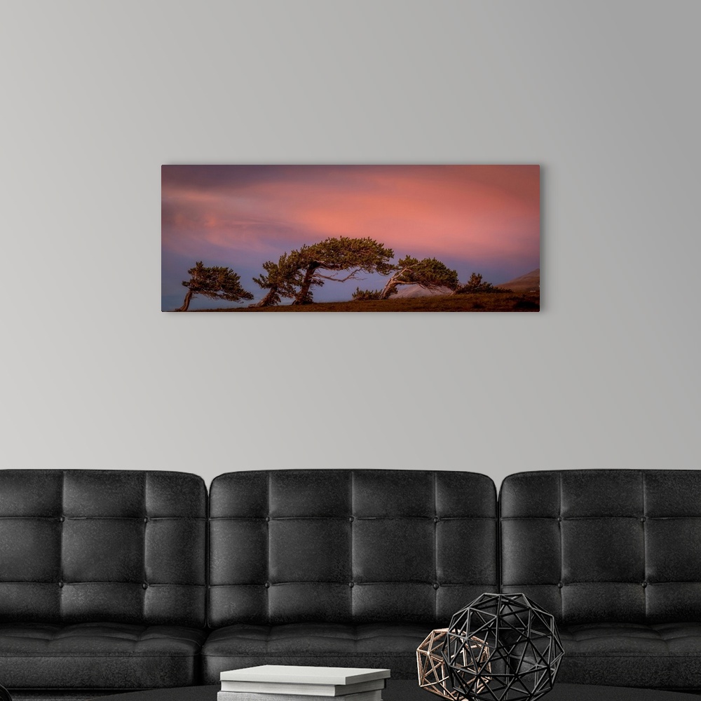 A modern room featuring Landscape photograph of leaning trees under a pink and blue sky.