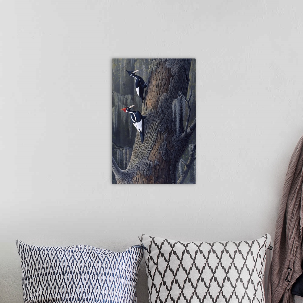 A bohemian room featuring Ivory billed woodpeckers perched on a tree.