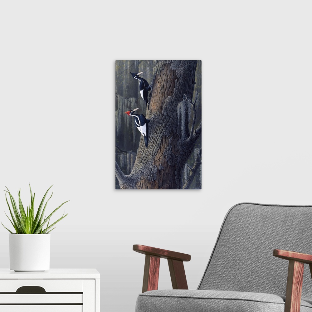 A modern room featuring Ivory billed woodpeckers perched on a tree.