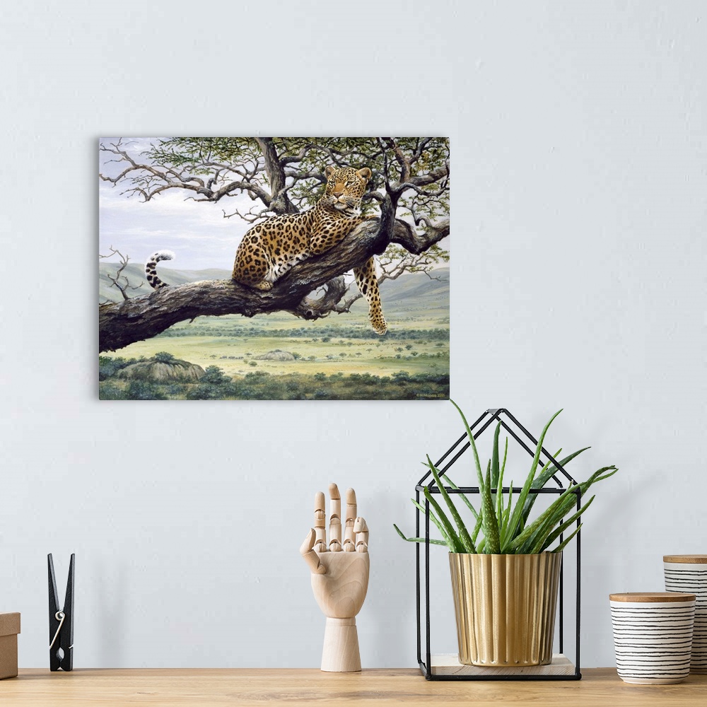A bohemian room featuring Leopard in a tree branch.