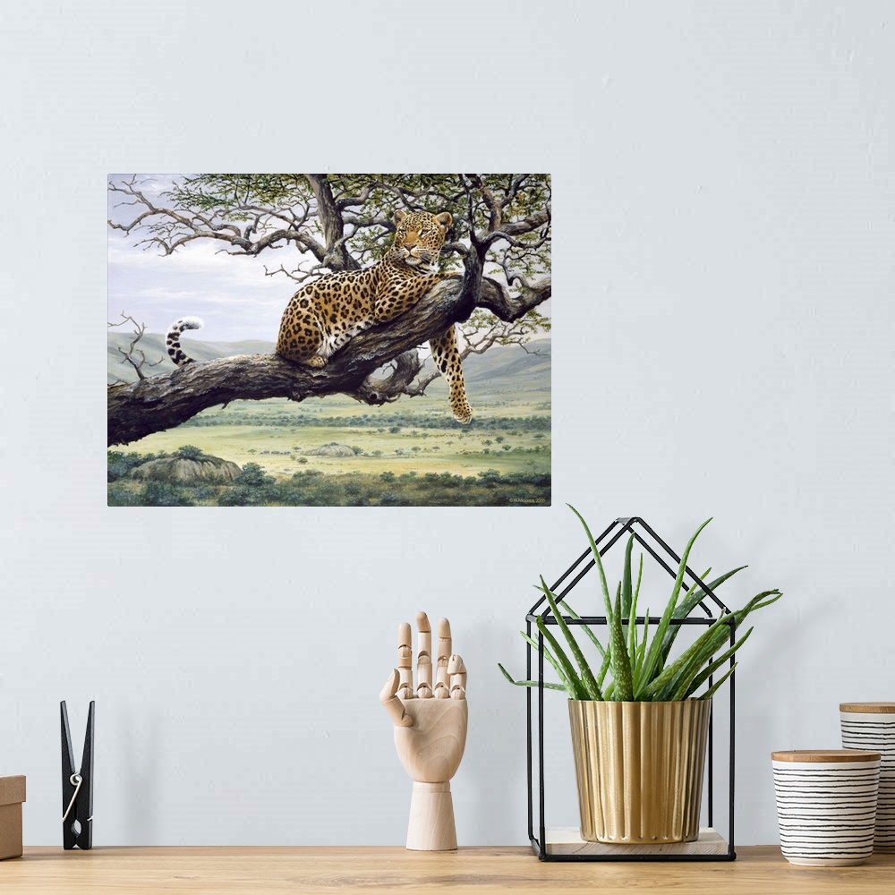 A bohemian room featuring Leopard in a tree branch.