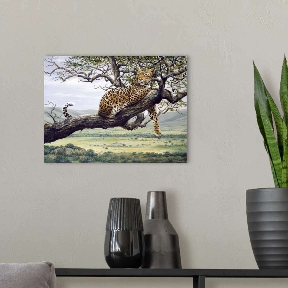 A modern room featuring Leopard in a tree branch.