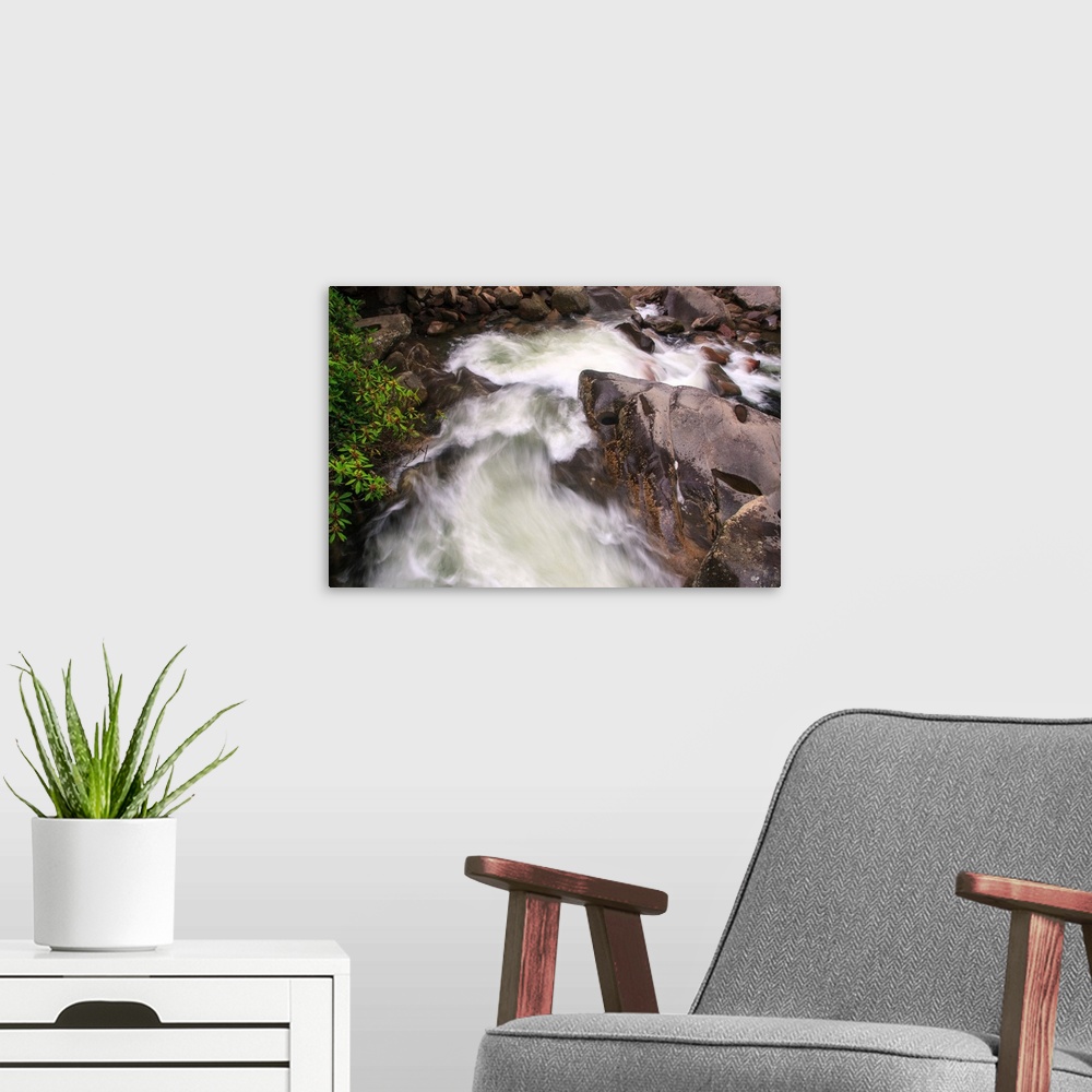 A modern room featuring Fine art photography of a river flowing in the Blue Ridge mountains.