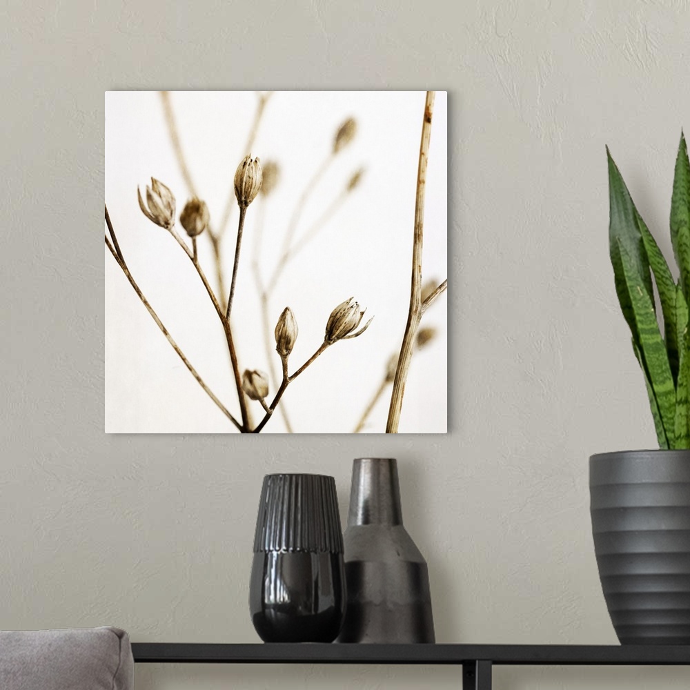 A modern room featuring Little Sepia Flowers