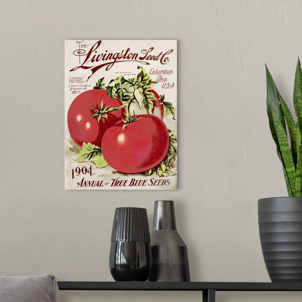 A modern room featuring Vintage poster advertisement for Livingston Tomato.
