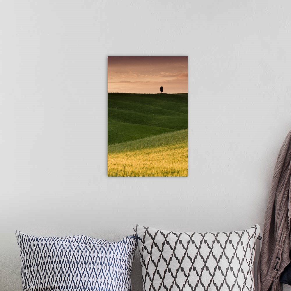 A bohemian room featuring A photograph of a lone cypress tree seen in a Tuscan landscape with rolling green fields.
