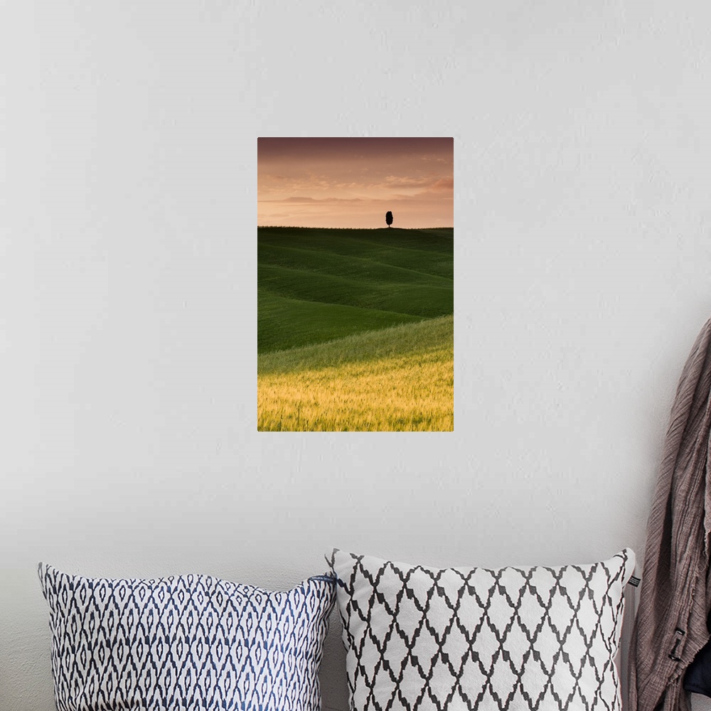 A bohemian room featuring A photograph of a lone cypress tree seen in a Tuscan landscape with rolling green fields.