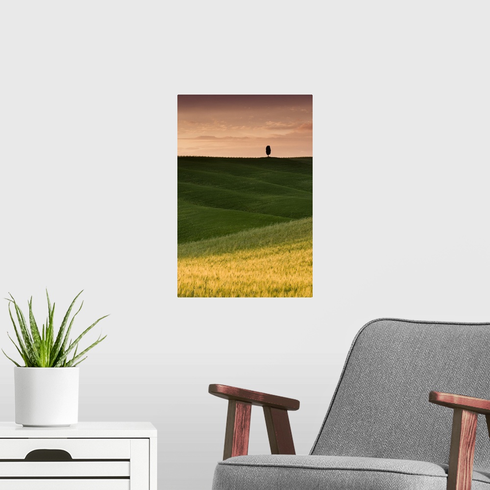 A modern room featuring A photograph of a lone cypress tree seen in a Tuscan landscape with rolling green fields.