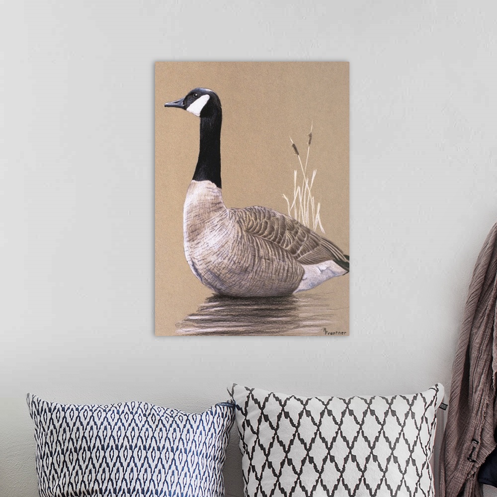 A bohemian room featuring A goose swimming.