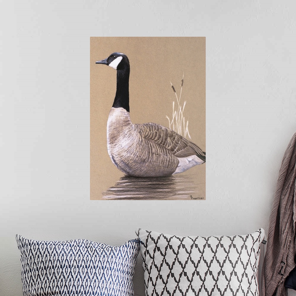 A bohemian room featuring A goose swimming.