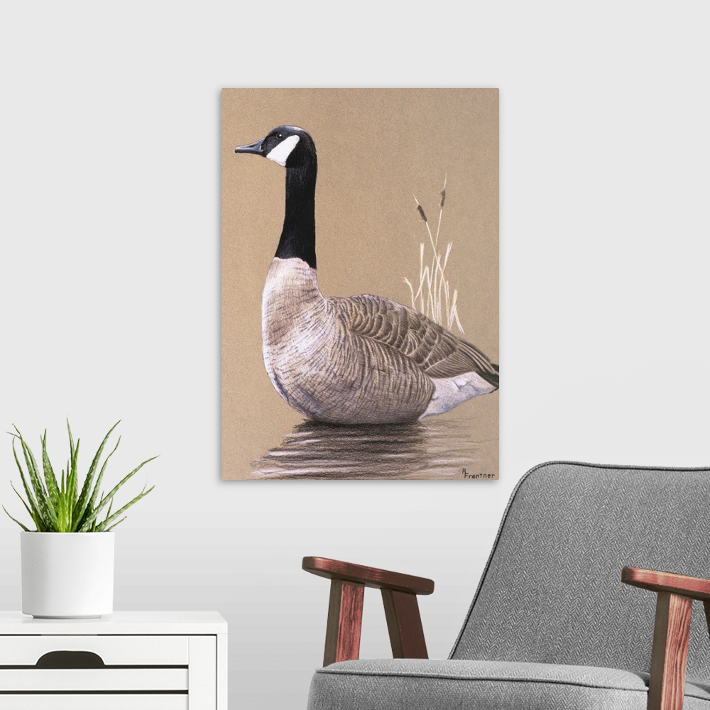 A modern room featuring A goose swimming.