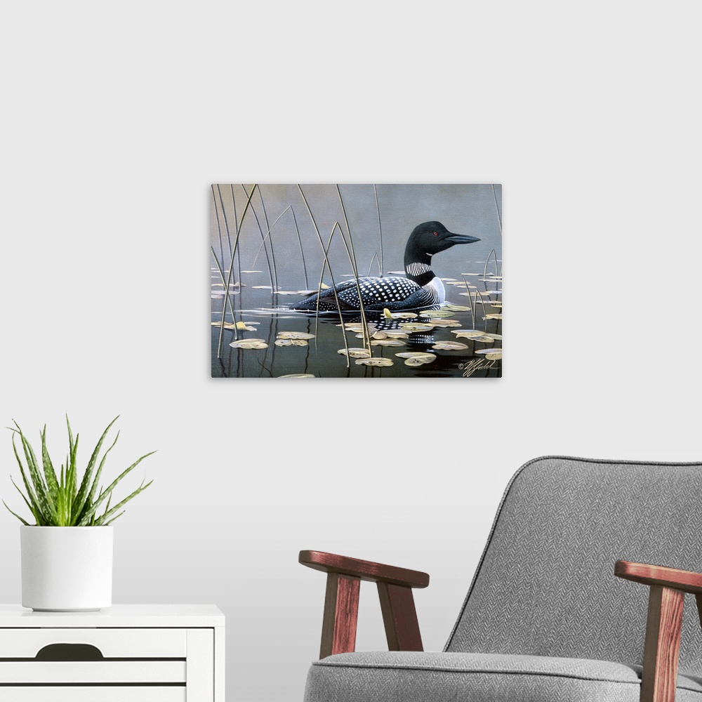 A modern room featuring Loon swimming in water.