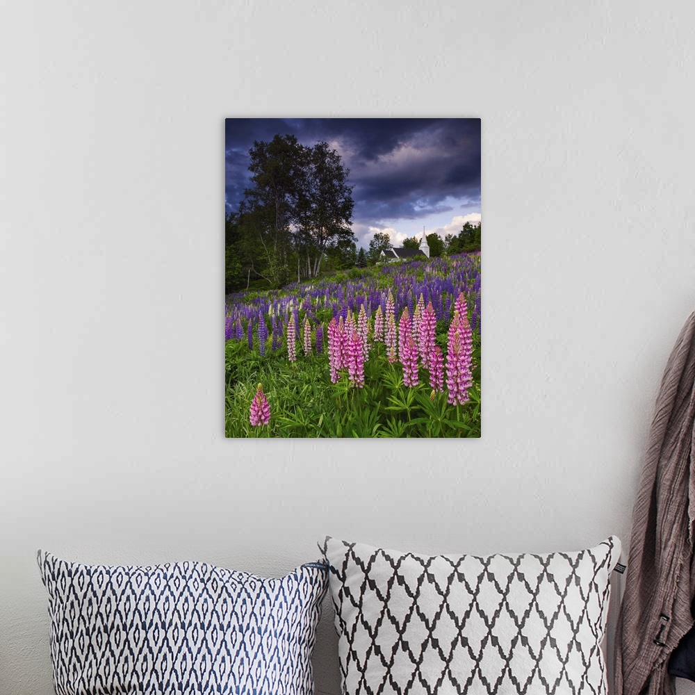 A bohemian room featuring Photograph of pink and purple flowers on a hillside under dark aggressive clouds in the countryside.
