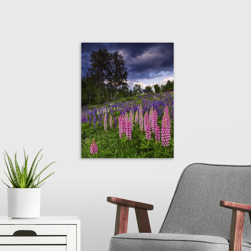 A modern room featuring Photograph of pink and purple flowers on a hillside under dark aggressive clouds in the countryside.