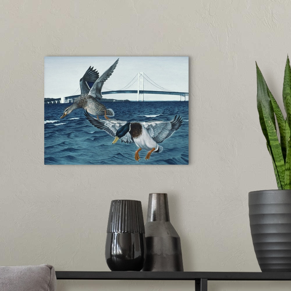 A modern room featuring Two ducks landing in a body of water by a highway suspension bridge.