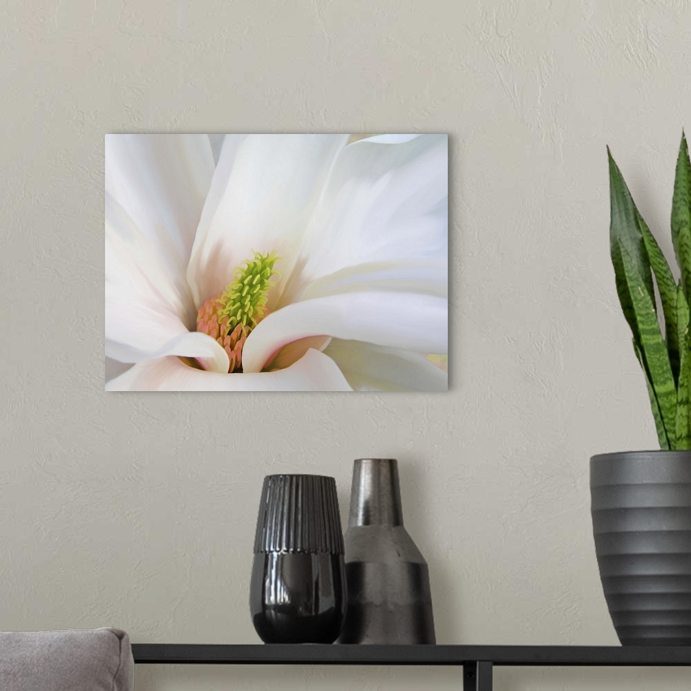 A modern room featuring Flower, Magnolia