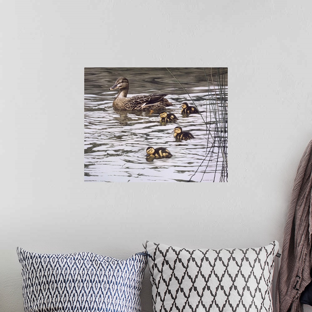 A bohemian room featuring A mallard family (mother and four ducklings) makes its way through the water.