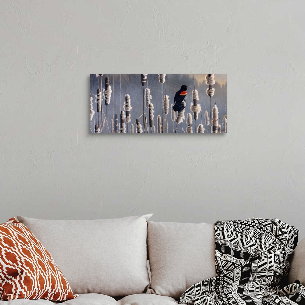 A bohemian room featuring Red wing blackbird sitting in cattails.