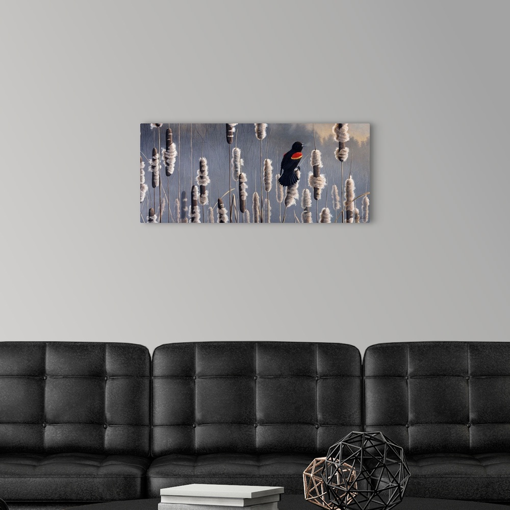 A modern room featuring Red wing blackbird sitting in cattails.