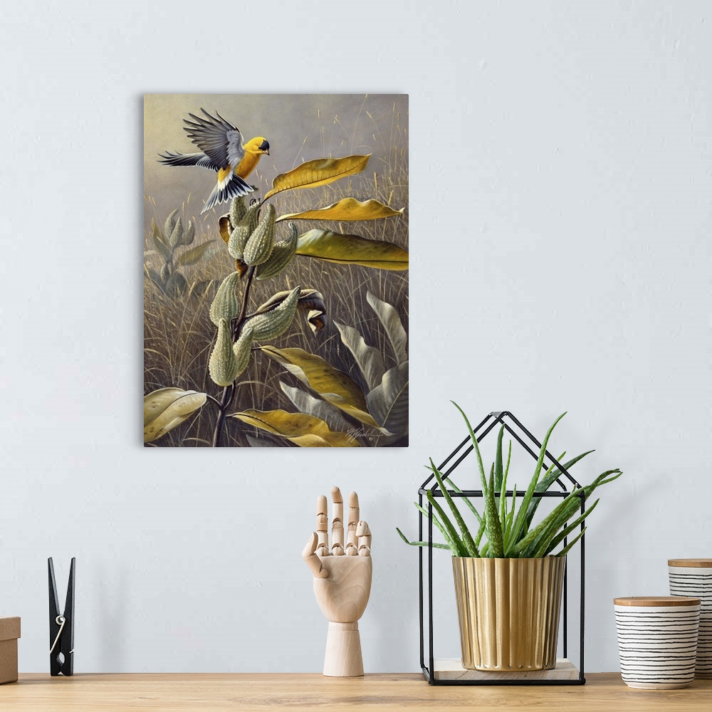 A bohemian room featuring Goldfinch landing on a plant in a field.
