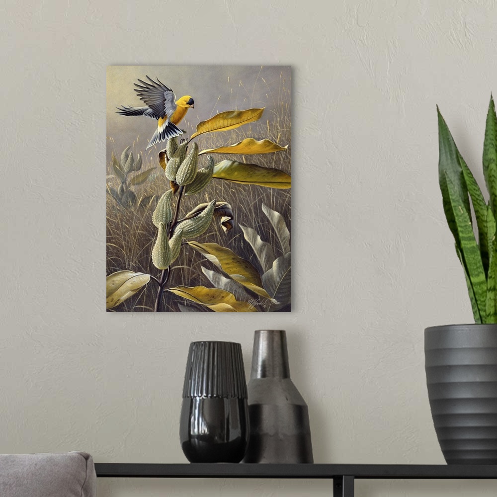 A modern room featuring Goldfinch landing on a plant in a field.