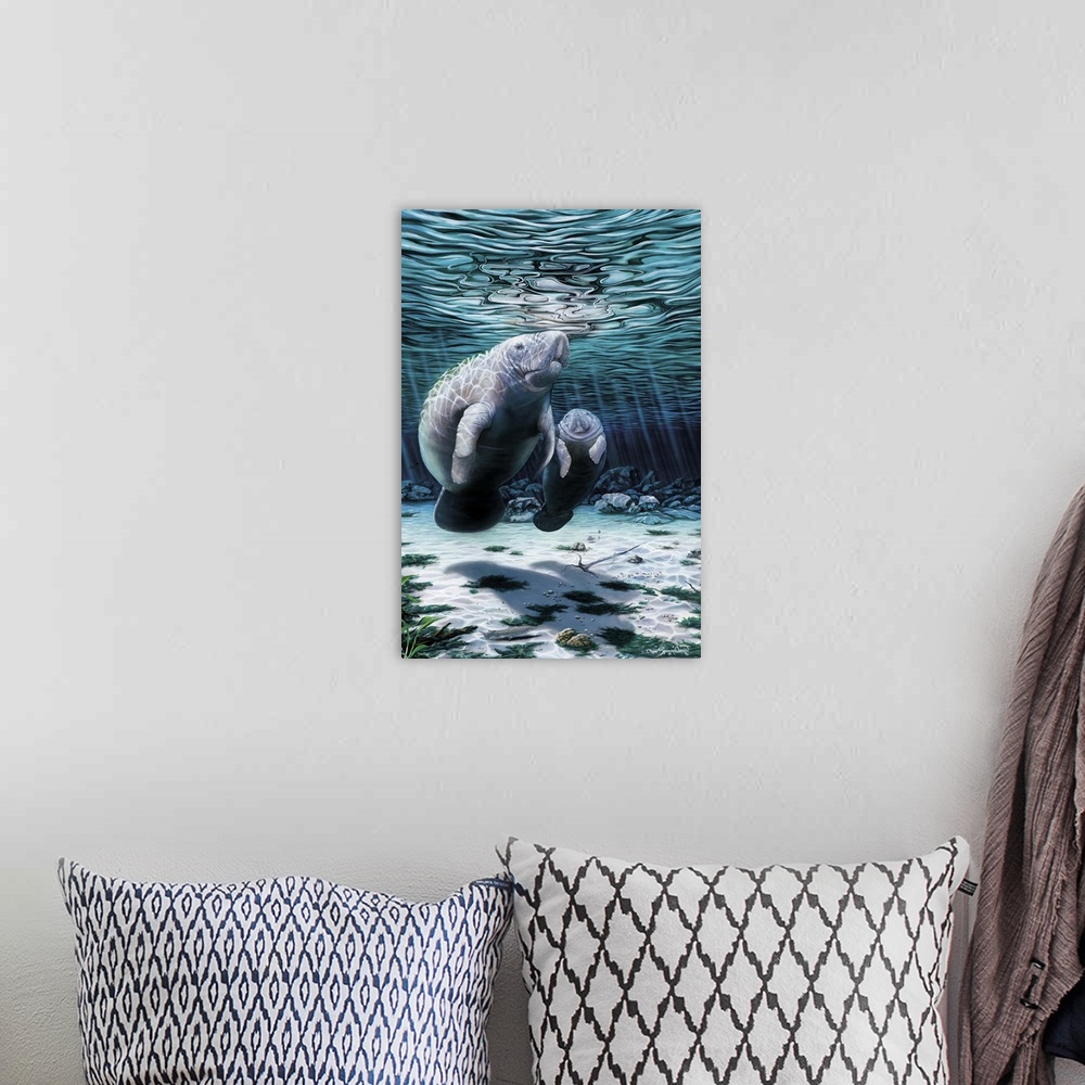 A bohemian room featuring Manatee and her calf.