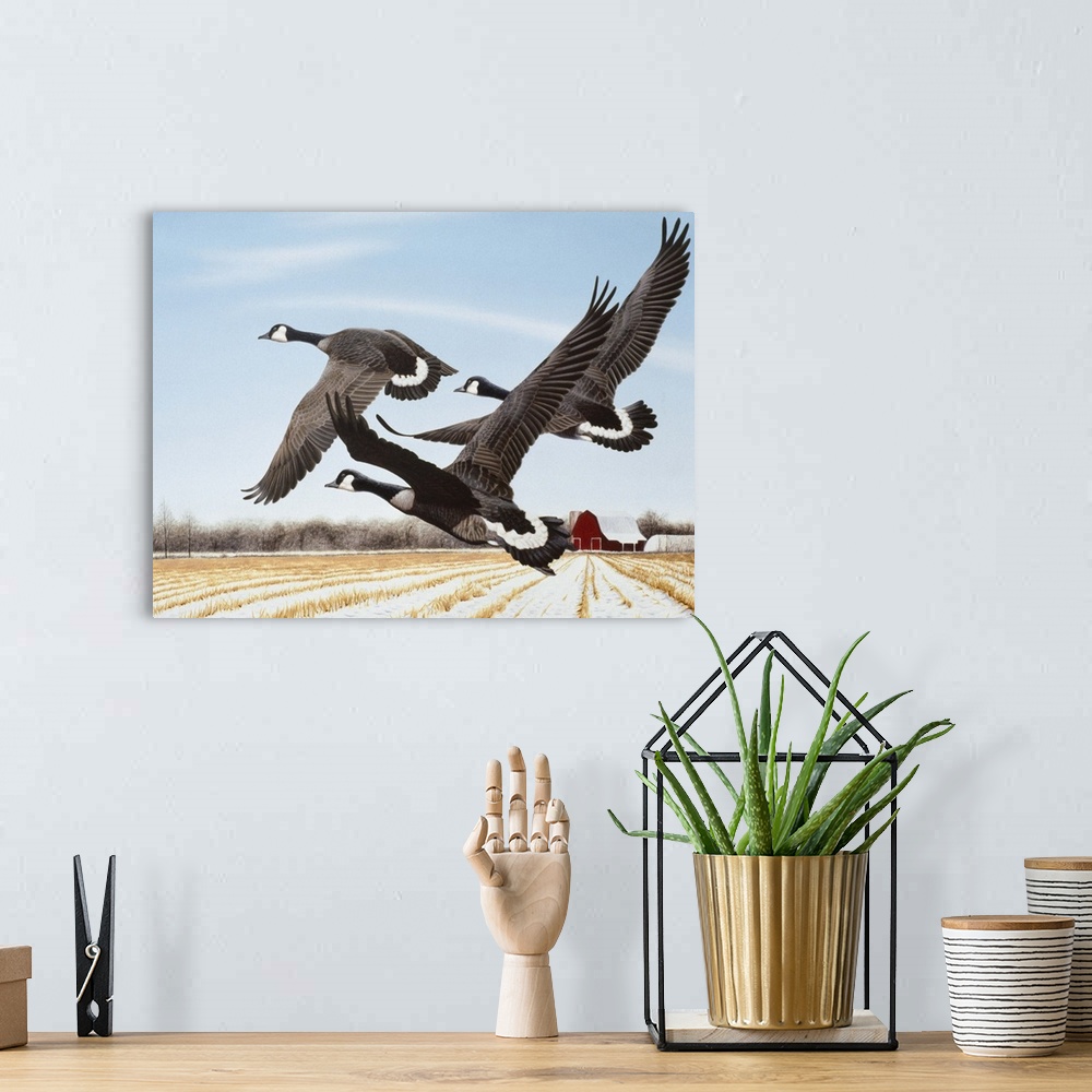 A bohemian room featuring Three Canada geese flying over a farmer's field.