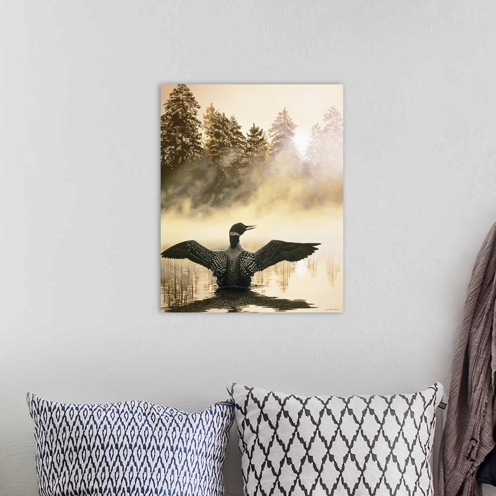 A bohemian room featuring A loon spreads its wings in the early morning.