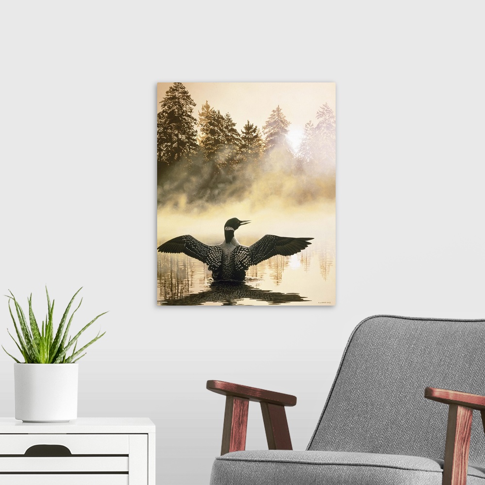 A modern room featuring A loon spreads its wings in the early morning.