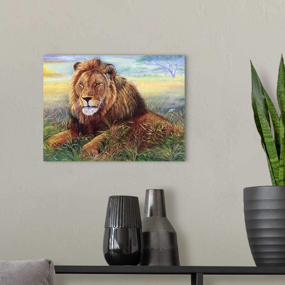 A modern room featuring Male lion at sunset
