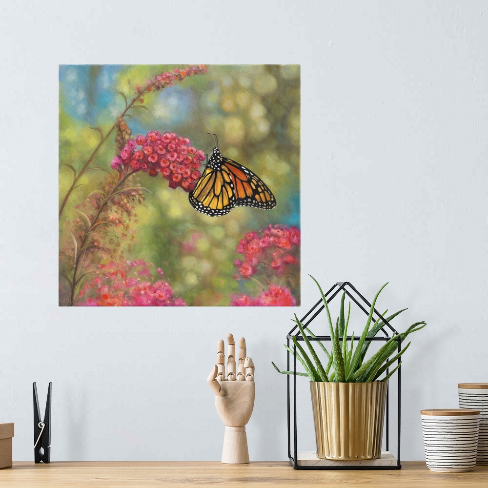 A bohemian room featuring monarch butterfly on pink flower