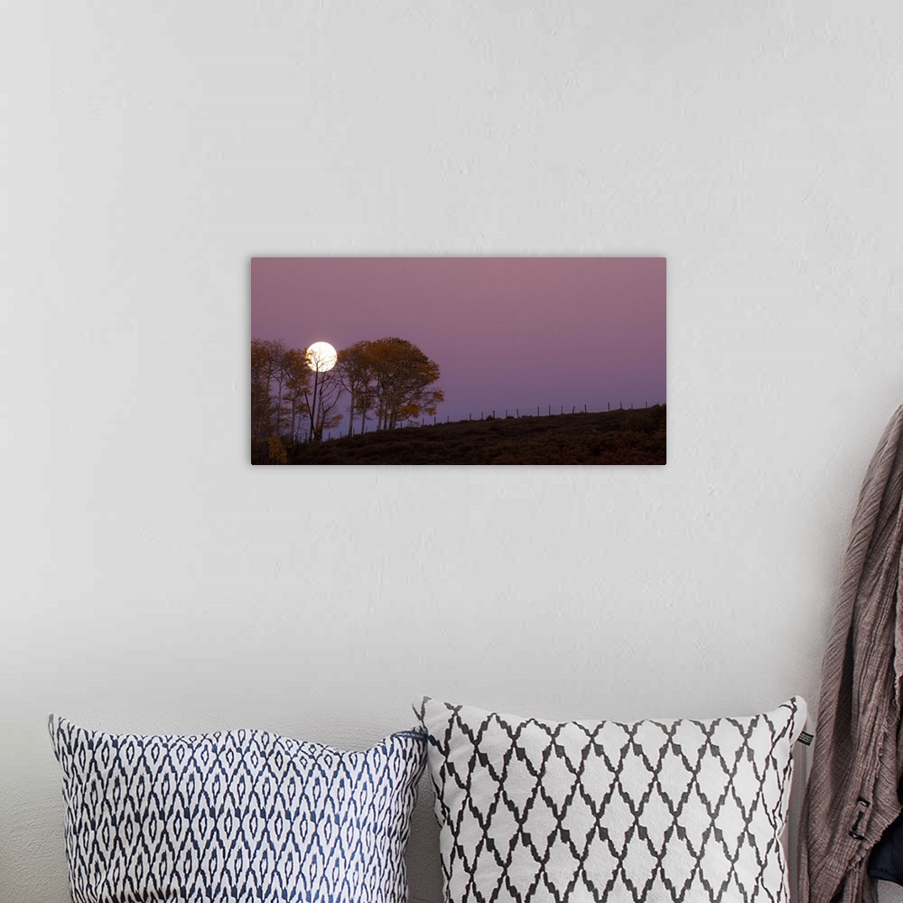 A bohemian room featuring Landscape photograph of a field with a few trees and a full moon rising in the purple sky.