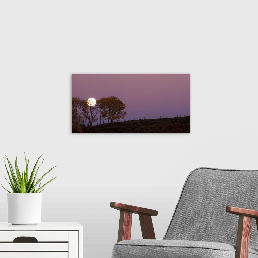 A modern room featuring Landscape photograph of a field with a few trees and a full moon rising in the purple sky.