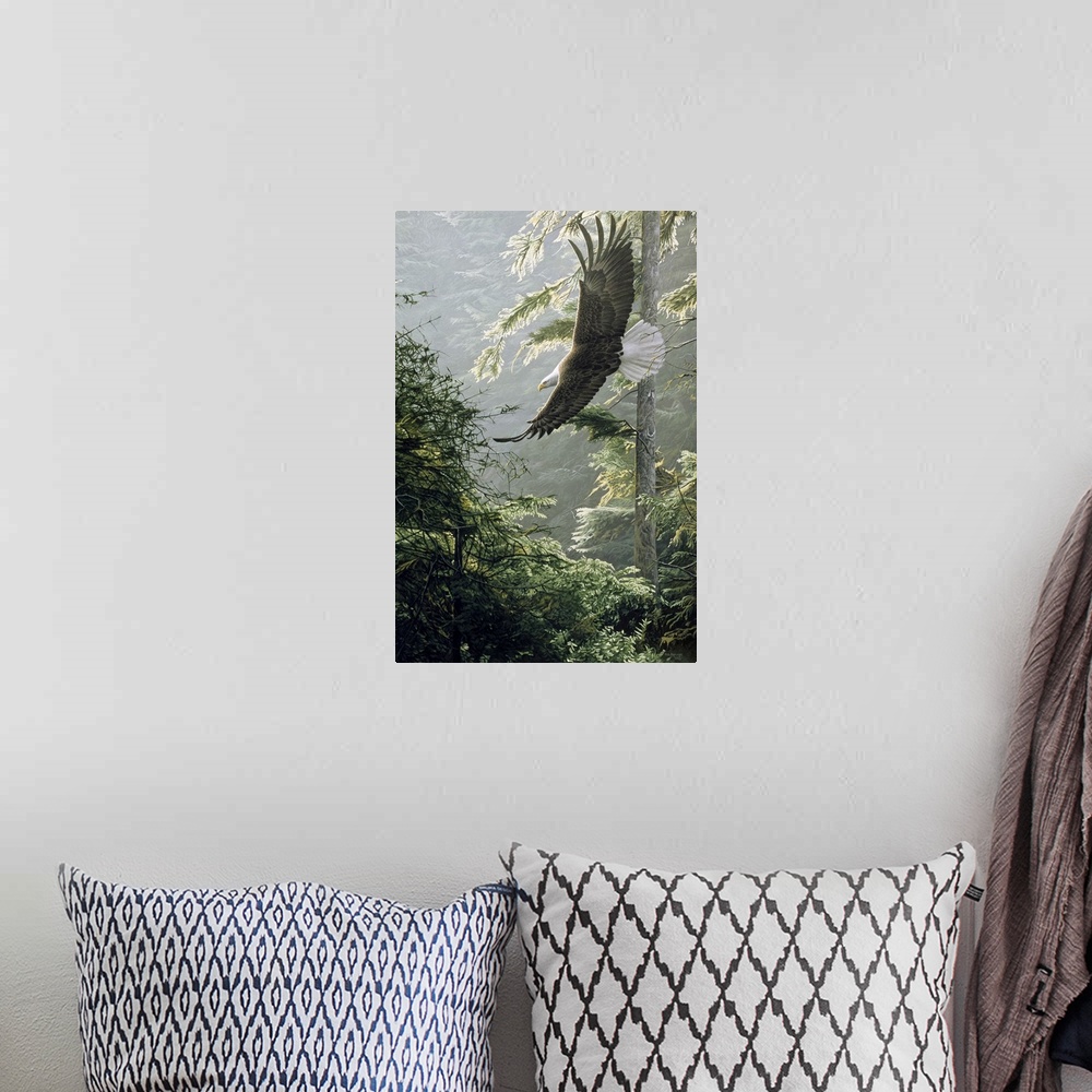 A bohemian room featuring An eagle soars above a forest, the morning light shining on the leaves.