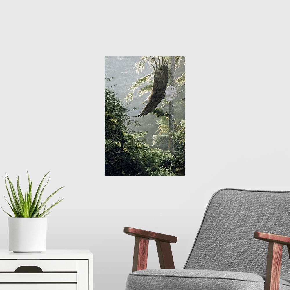 A modern room featuring An eagle soars above a forest, the morning light shining on the leaves.