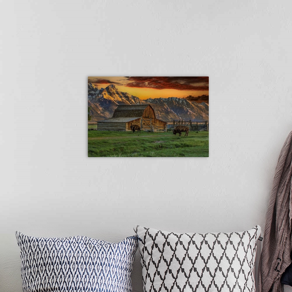A bohemian room featuring Moulton Barn At Sunrise With Bison