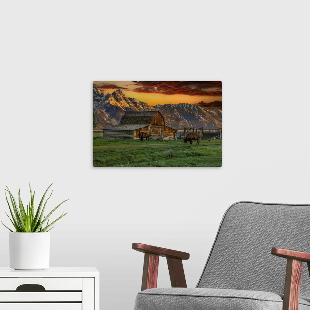 A modern room featuring Moulton Barn At Sunrise With Bison