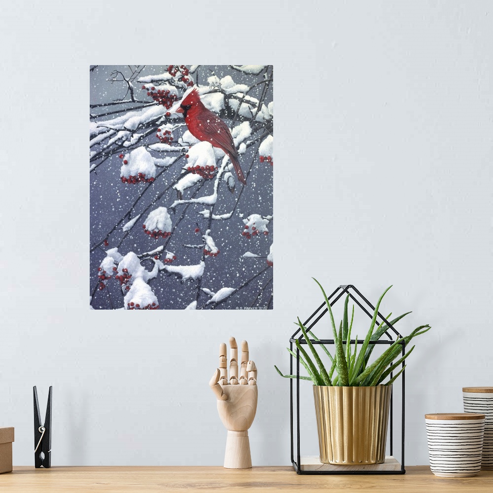 A bohemian room featuring A male cardinal on a snow covered tree limb.