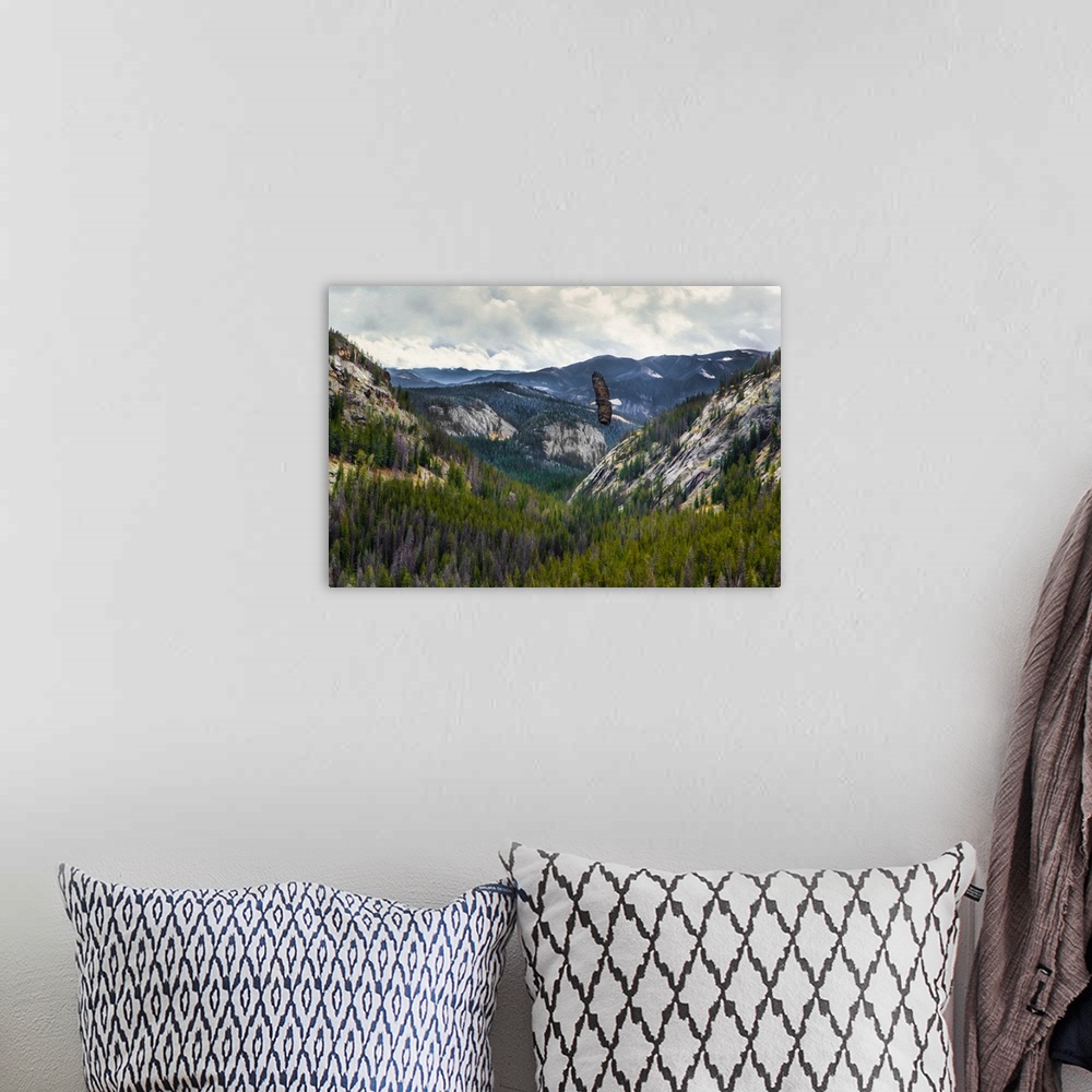 A bohemian room featuring Mountains With Eagle
